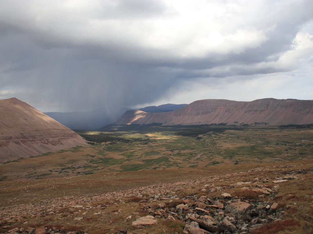 King's Peak-埃文斯顿必去景点