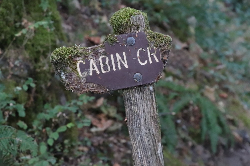 Cabin Creek Falls景点图片