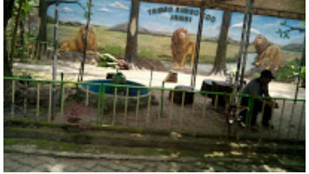 Rimbo Park Zoo景点图片