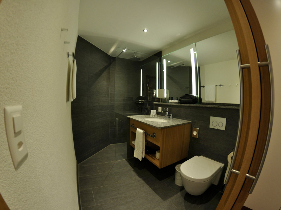 Hotel Swiss Holiday Park主图