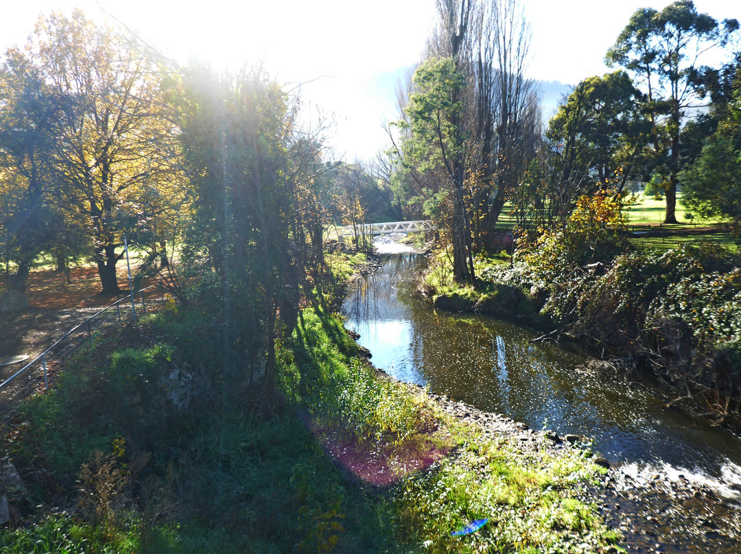 Tynwald Park-New Norfolk必去景点
