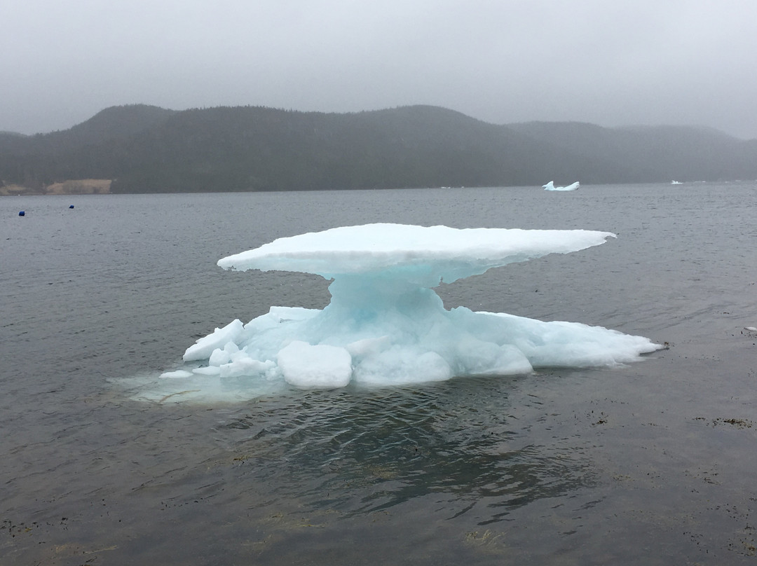 Gillespie House主图