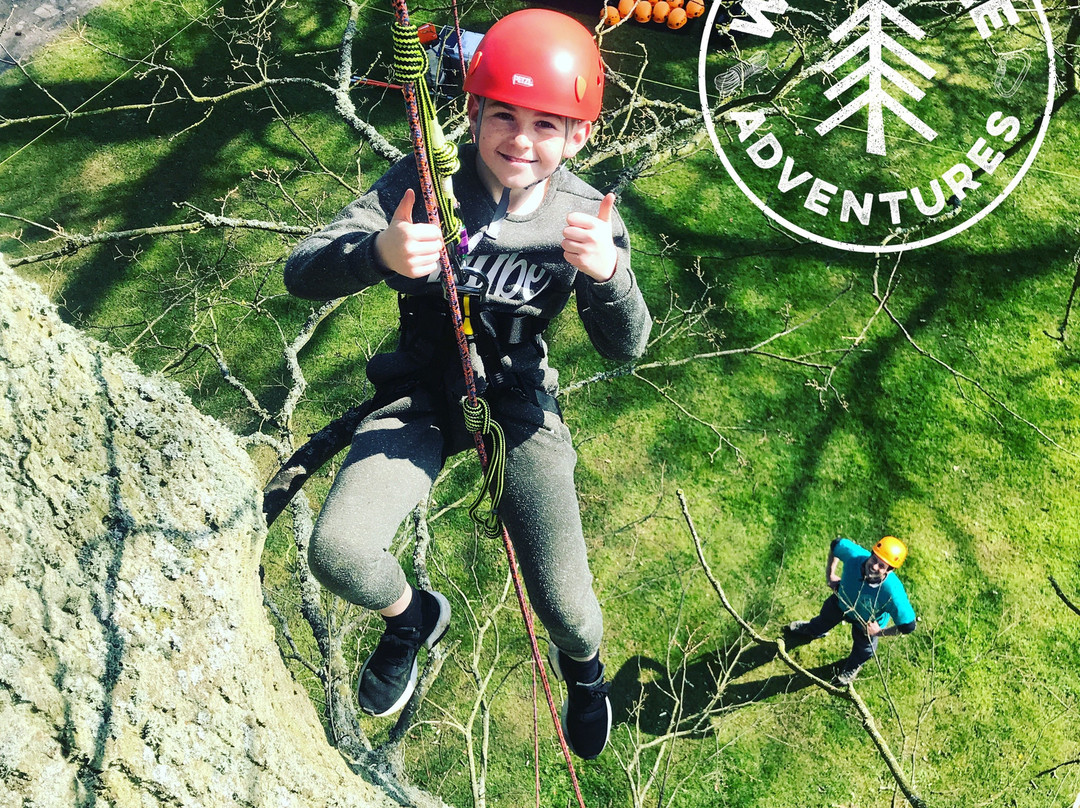 Wild Tree Adventures-斯特灵必去景点