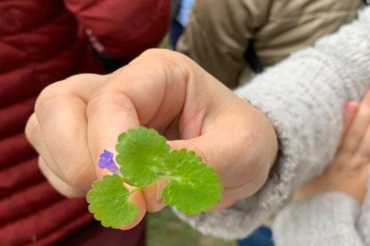 Alternative Tours & Events-布加勒斯特必去景点