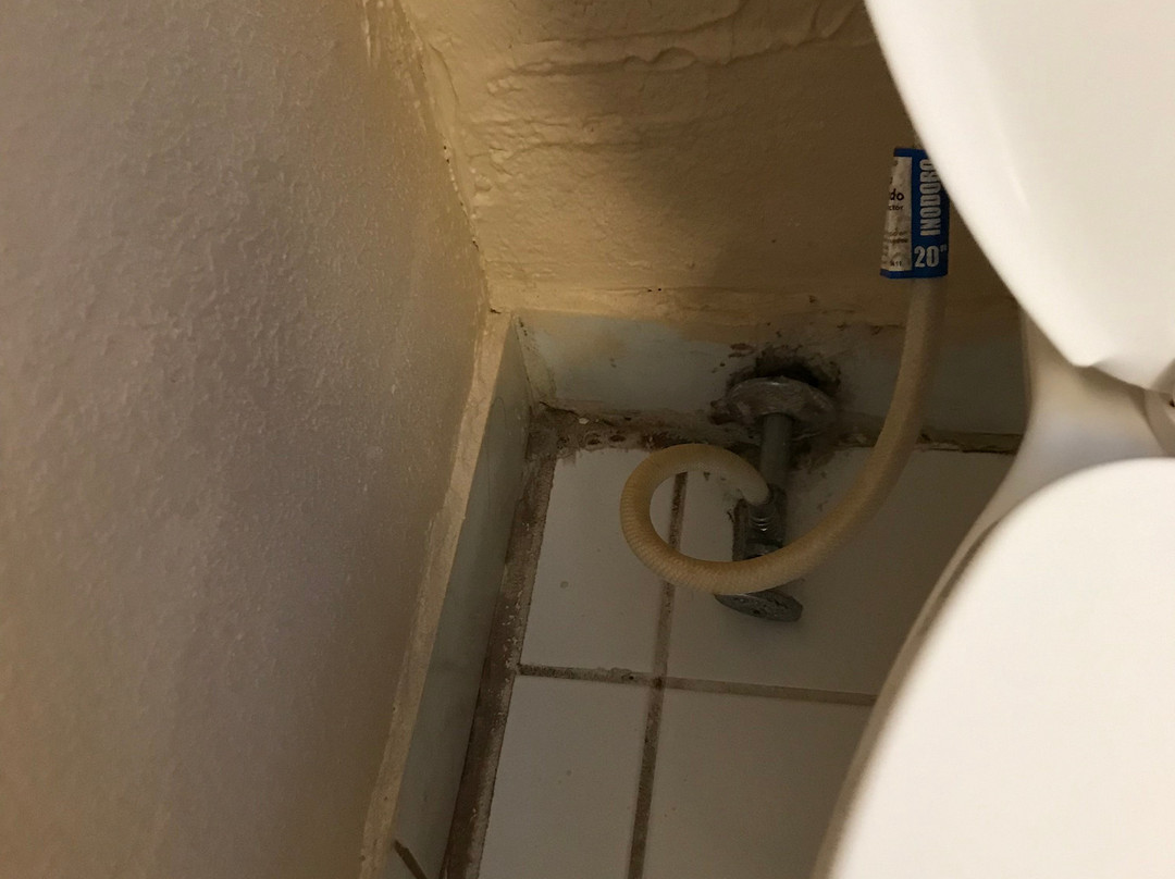 Travelodge by Wyndham South Burlington主图