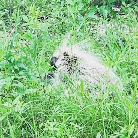 Hill Country State Natural Area-Bandera必去景点
