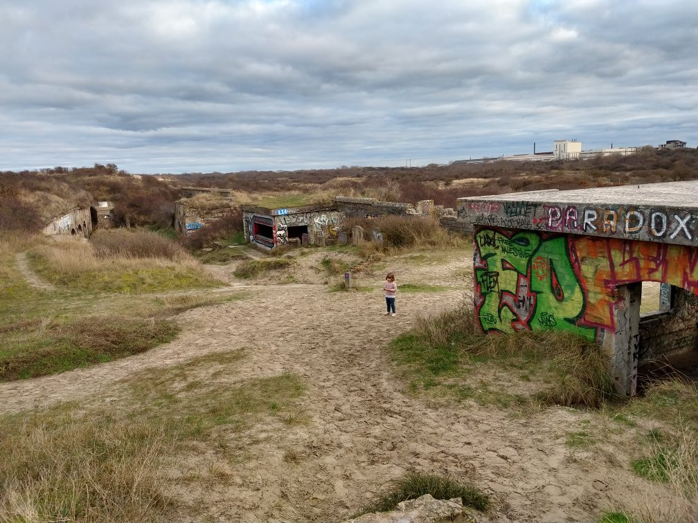 Dune Dewulf景点图片