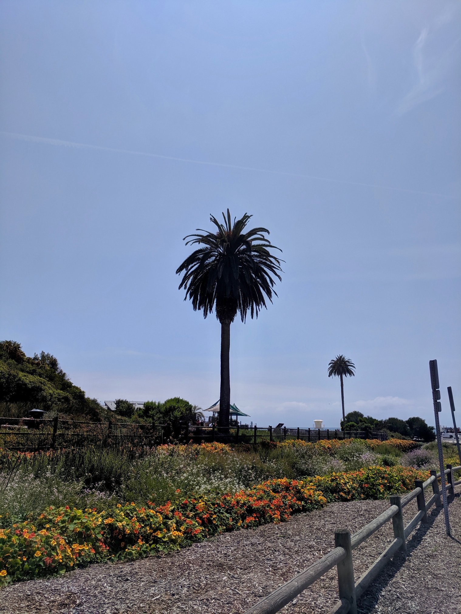 Moonlight Beach Motel-泳池