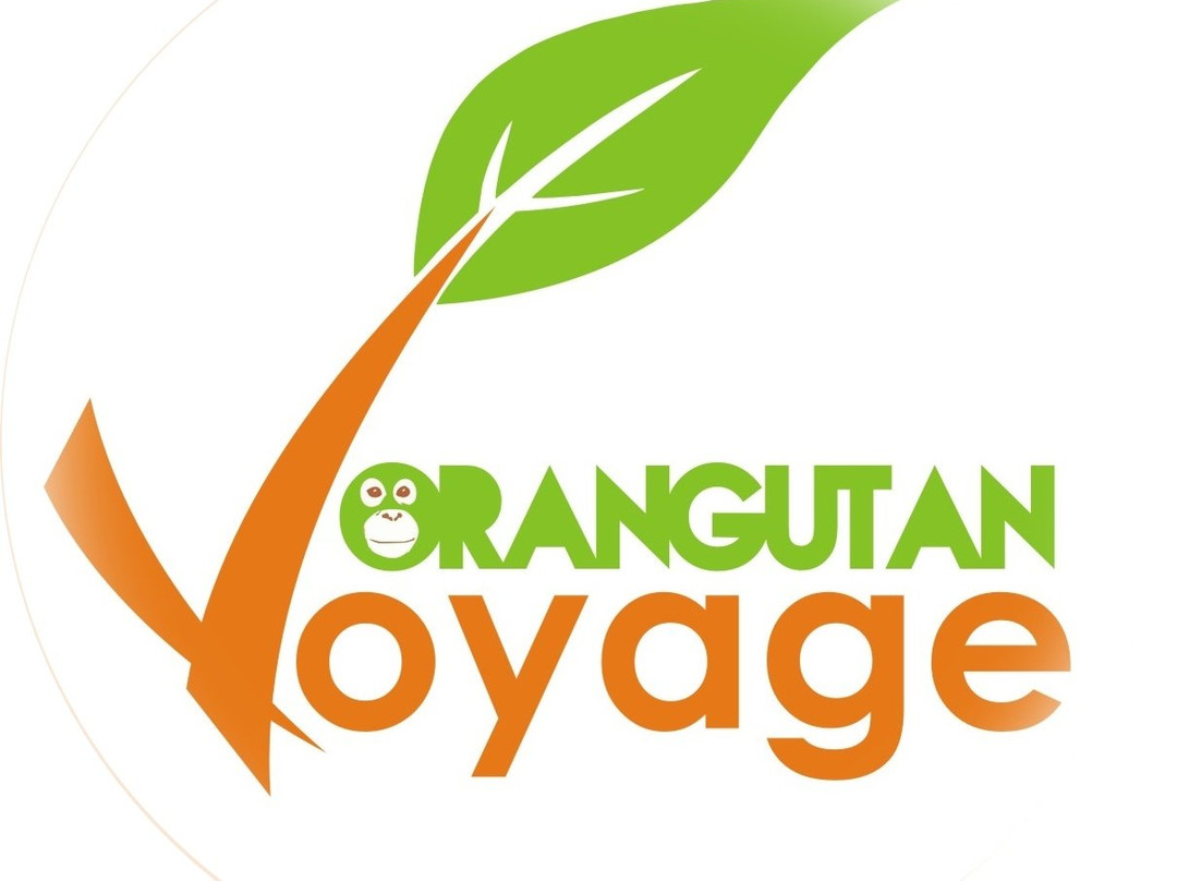 Orangutan Voyage-Kumai必去景点