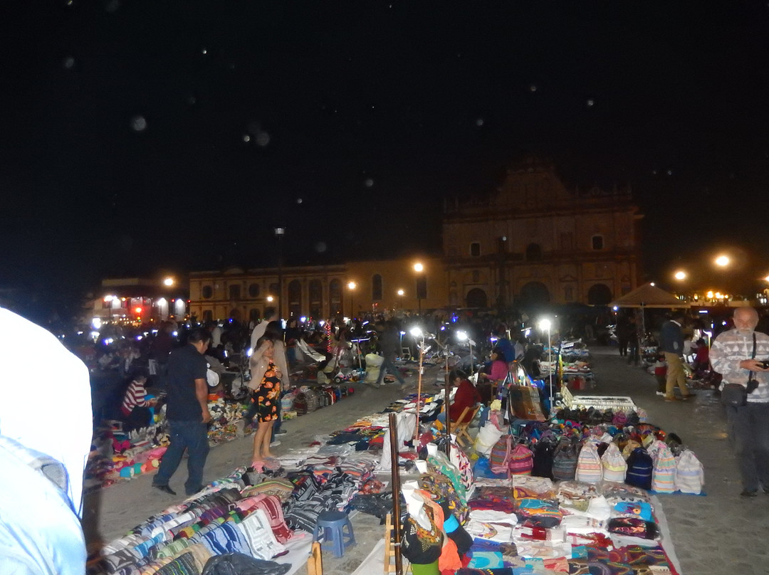 Parque Central Manuel Velasco Suárez景点图片