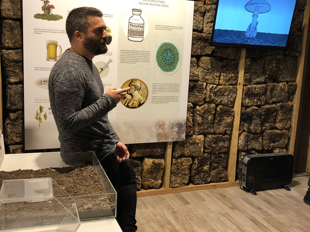 Fungiturismo-Pradejon必去景点