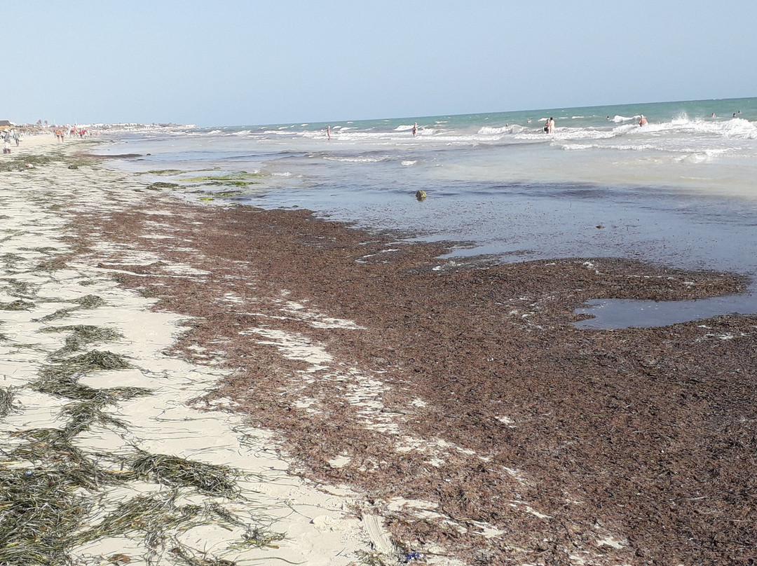 Hotel Cedriana主图