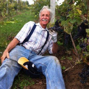 Paglione Estate Winery-Harrow必去景点