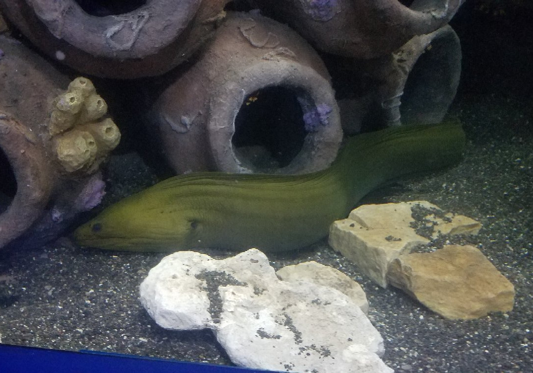 Aquamundo Sambil Santo Domingo-圣多明哥必去景点