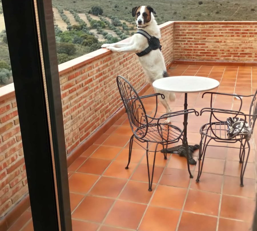 El Cigarral del Pintor主图