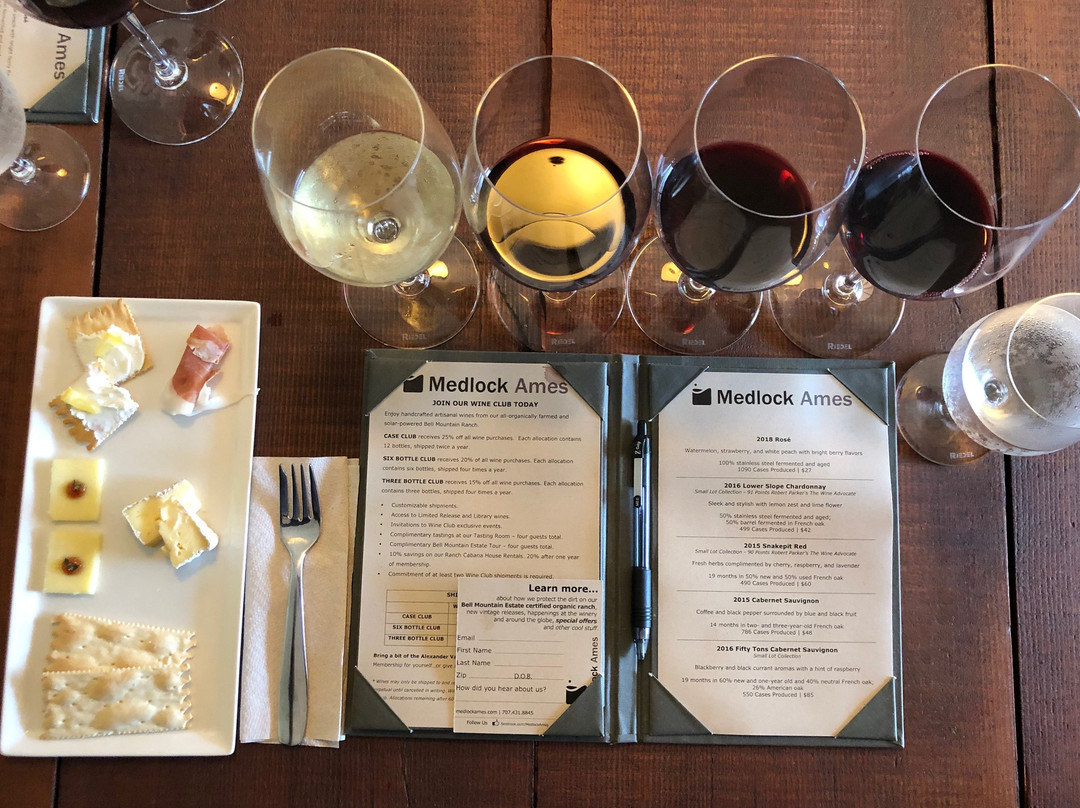 Medlock Ames Winery景点图片
