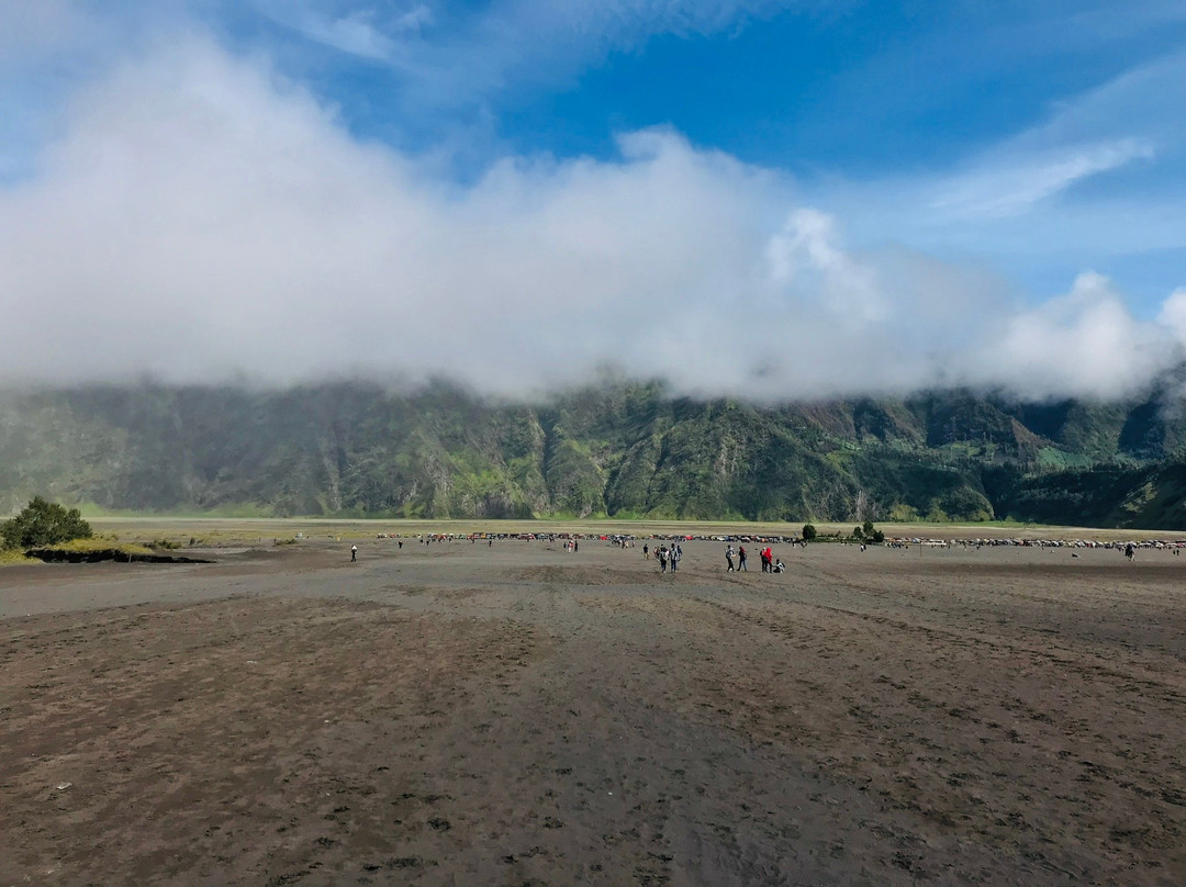 Bromo Authentic Tours景点图片