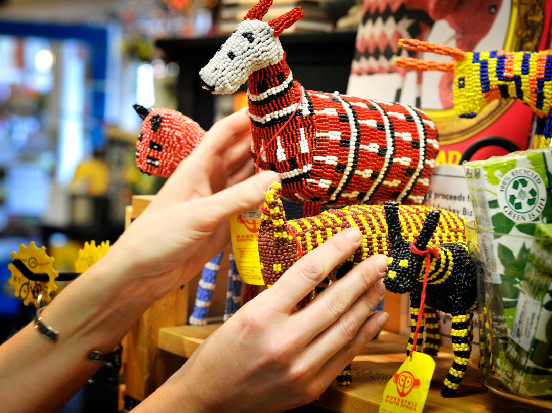 Cape Insights - Special Interest Tours-开普敦中心区必去景点