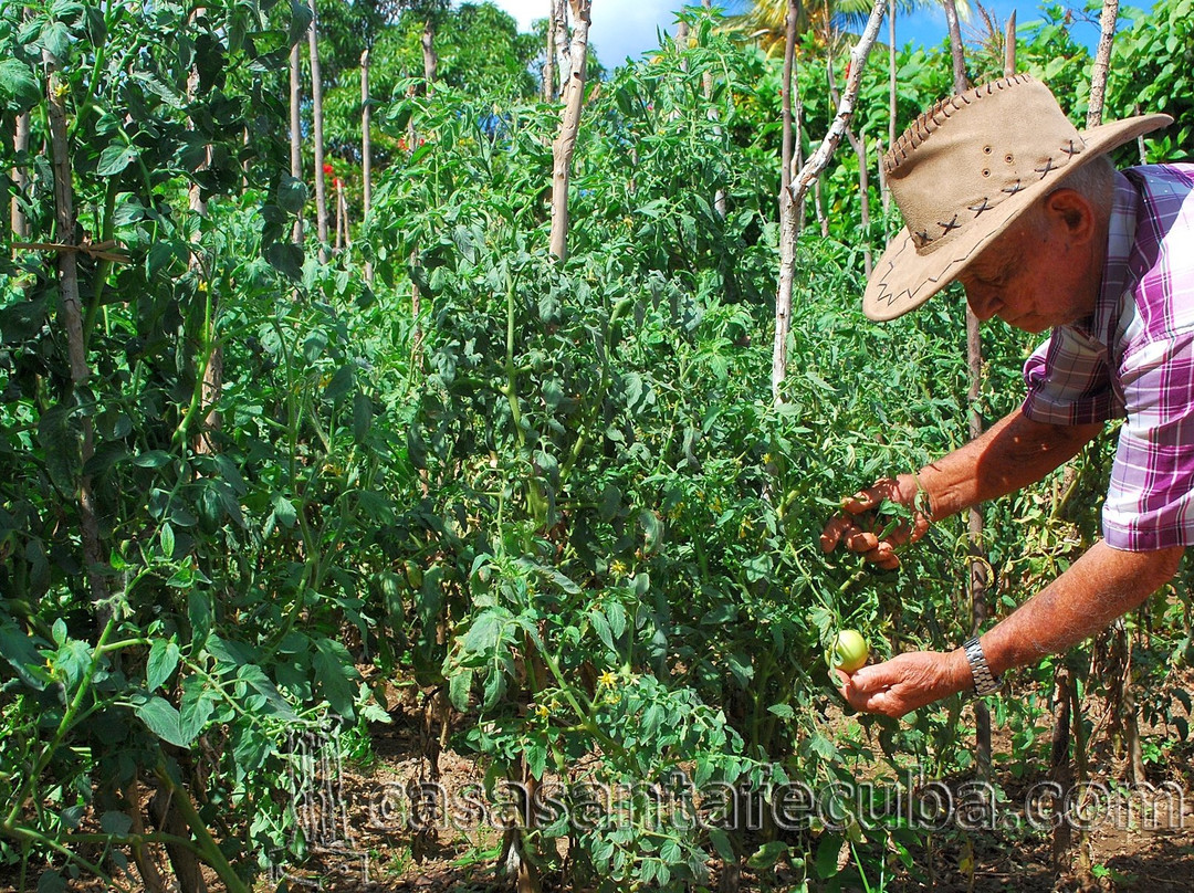 Cabana del Sol - Ecological Farm主图