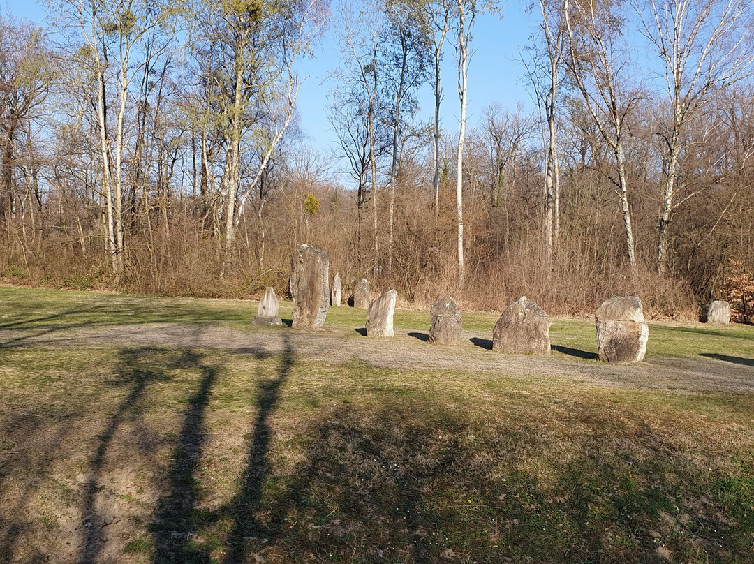 Menhirs de Clendy景点图片