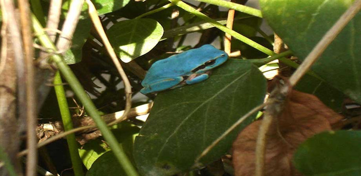 隆戈麦酒店主图