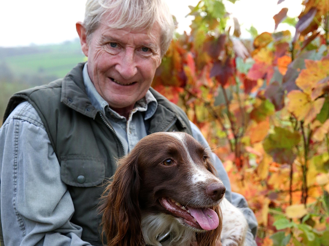 Beaworthy旅游攻略图片