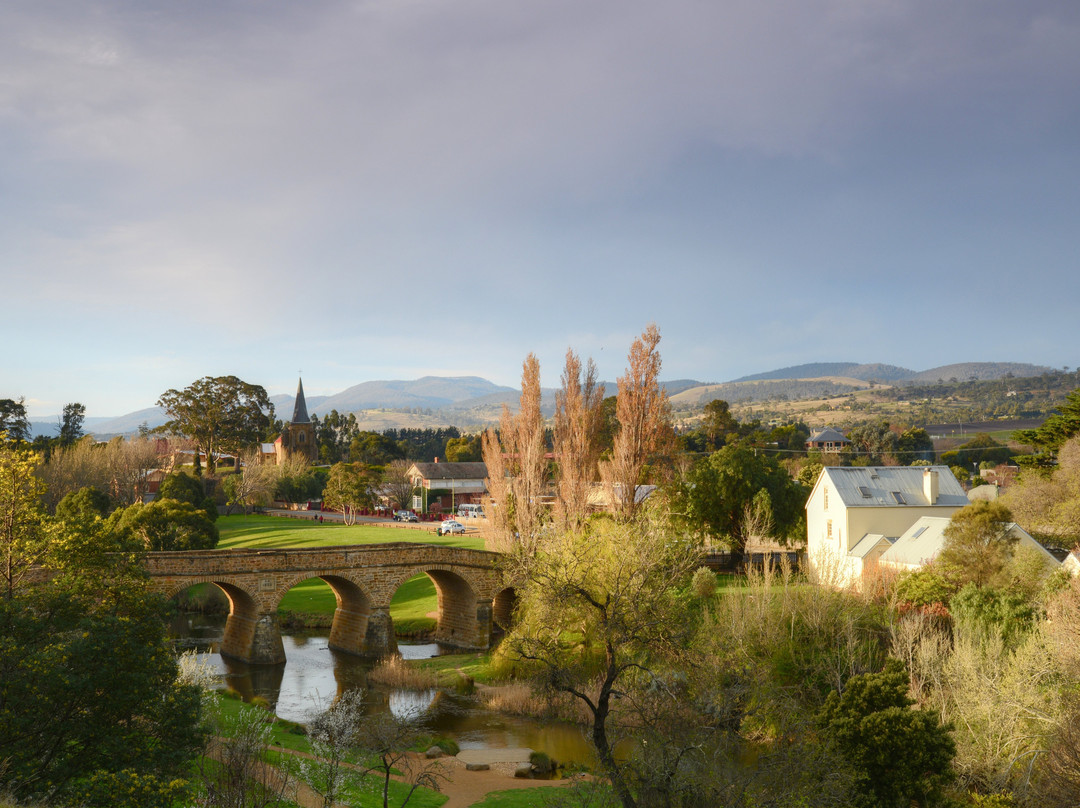 Terroir Wine Tours Tasmania景点图片