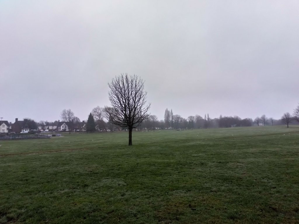 Braunstone Park景点图片