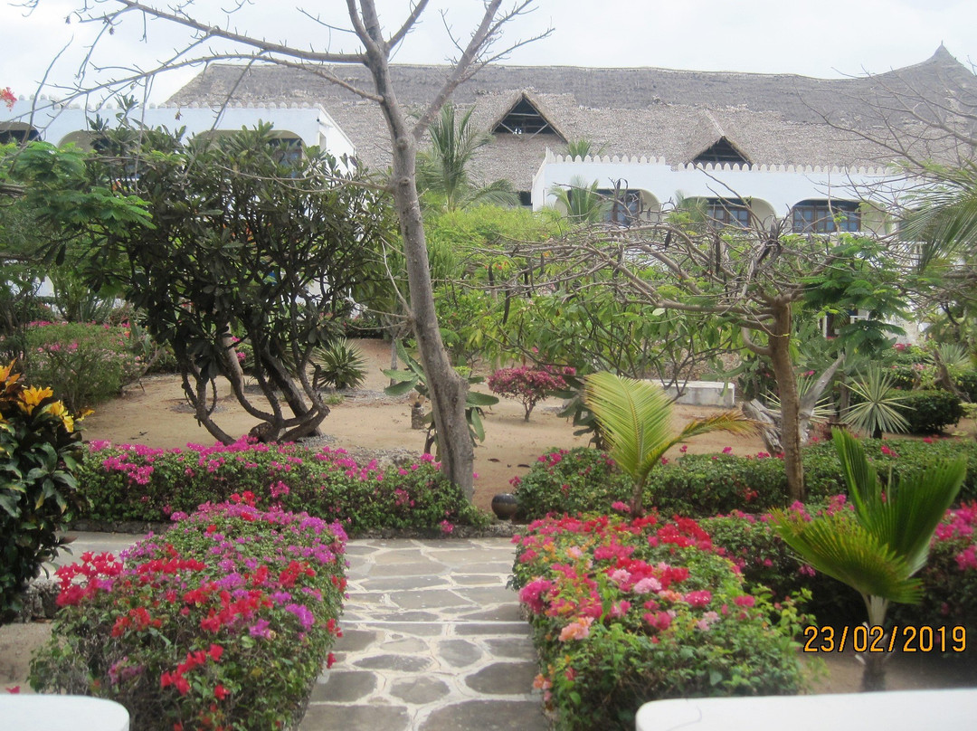 Jumbo Resort Watamu主图