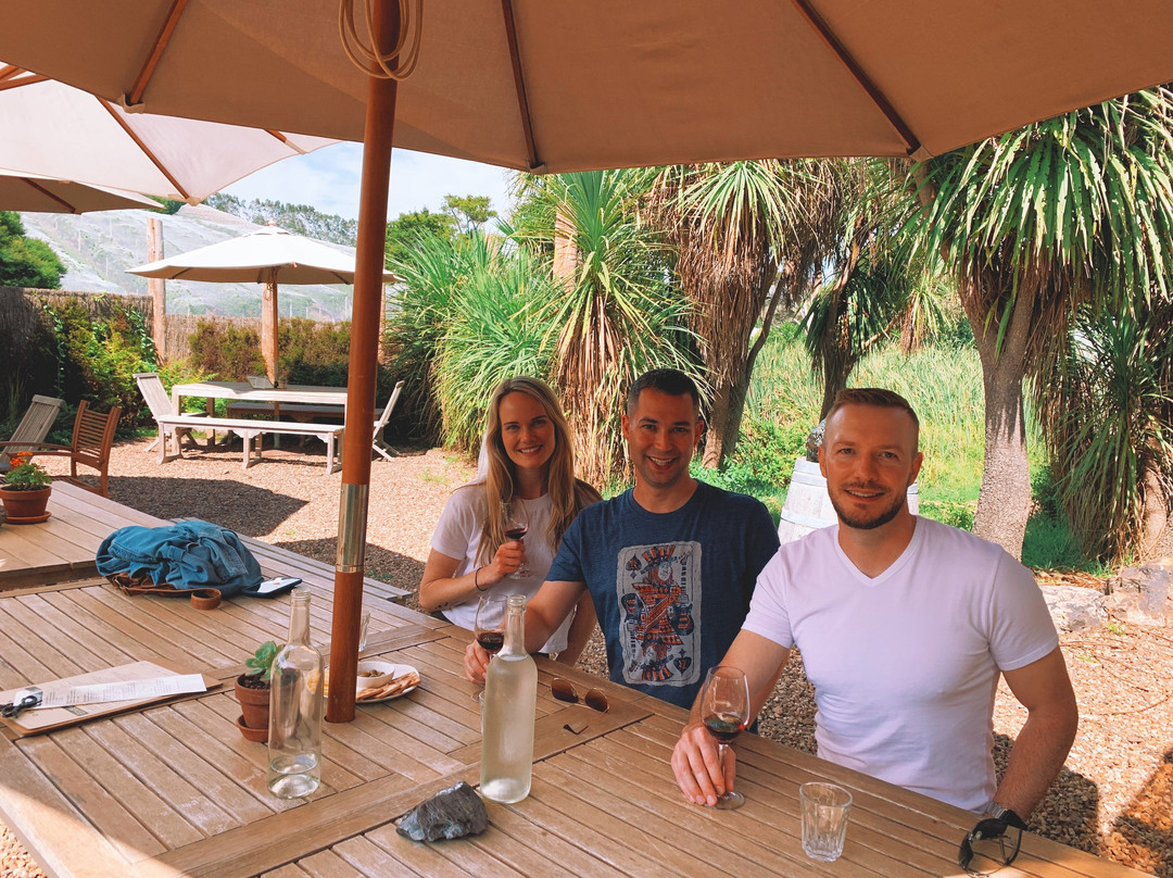 WaiTiki Tours-怀系奇岛必去景点