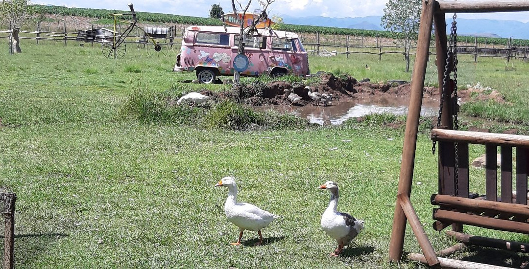 Jenlees Country Shop and Bistro-Fouriesburg必去景点