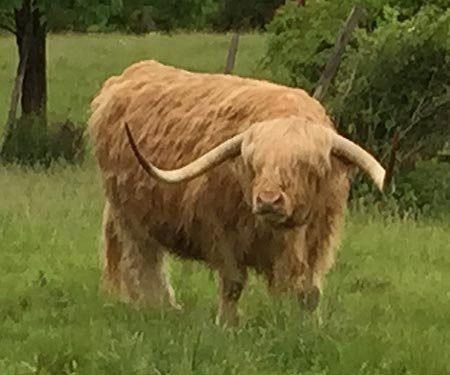 Brookfield Farm Bed & Breakfast主图