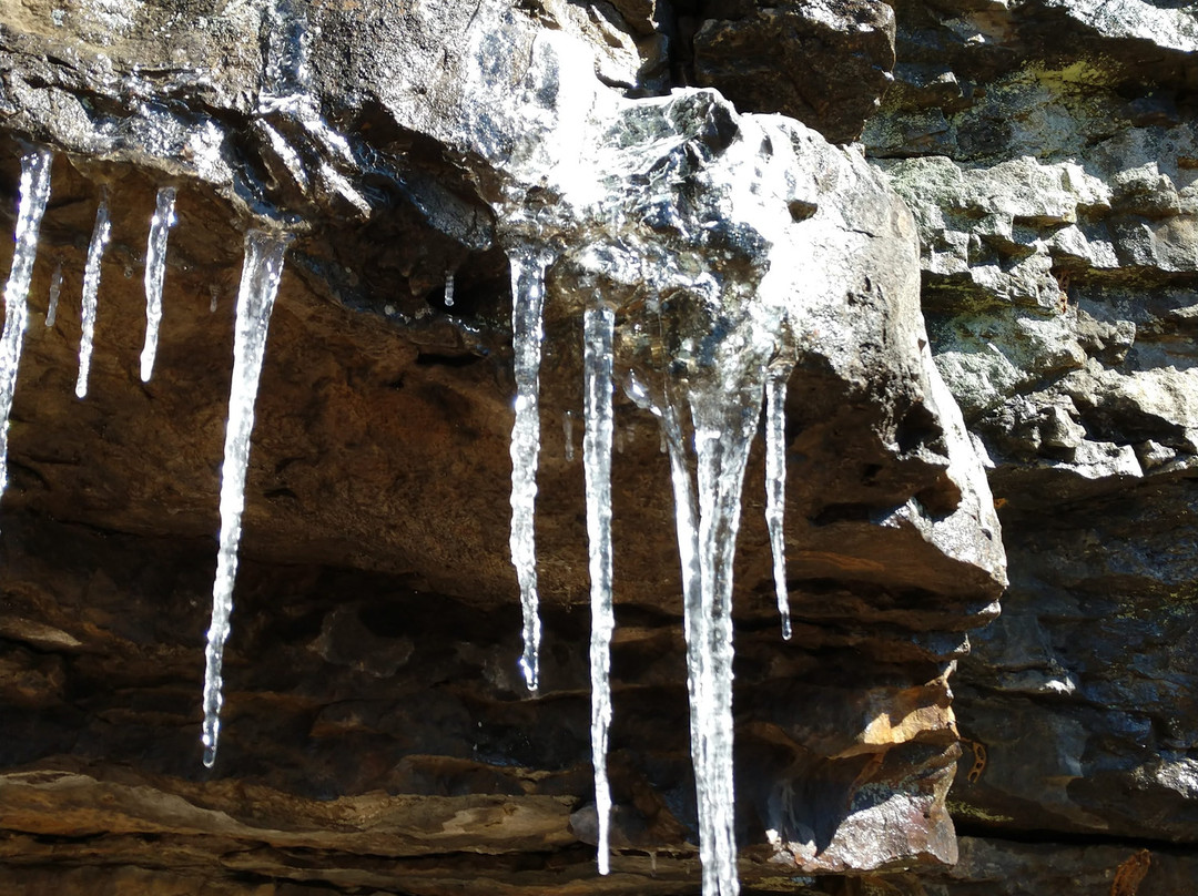 Land Trust of North Alabama-亨茨维尔必去景点