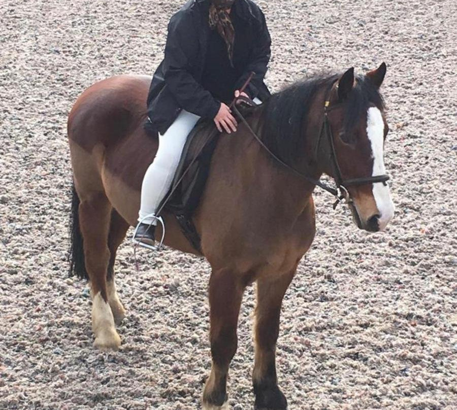 Cheston Farm Equestrian Centre-Wrangaton必去景点