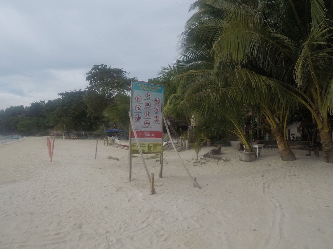 艺术潜水度假村主图