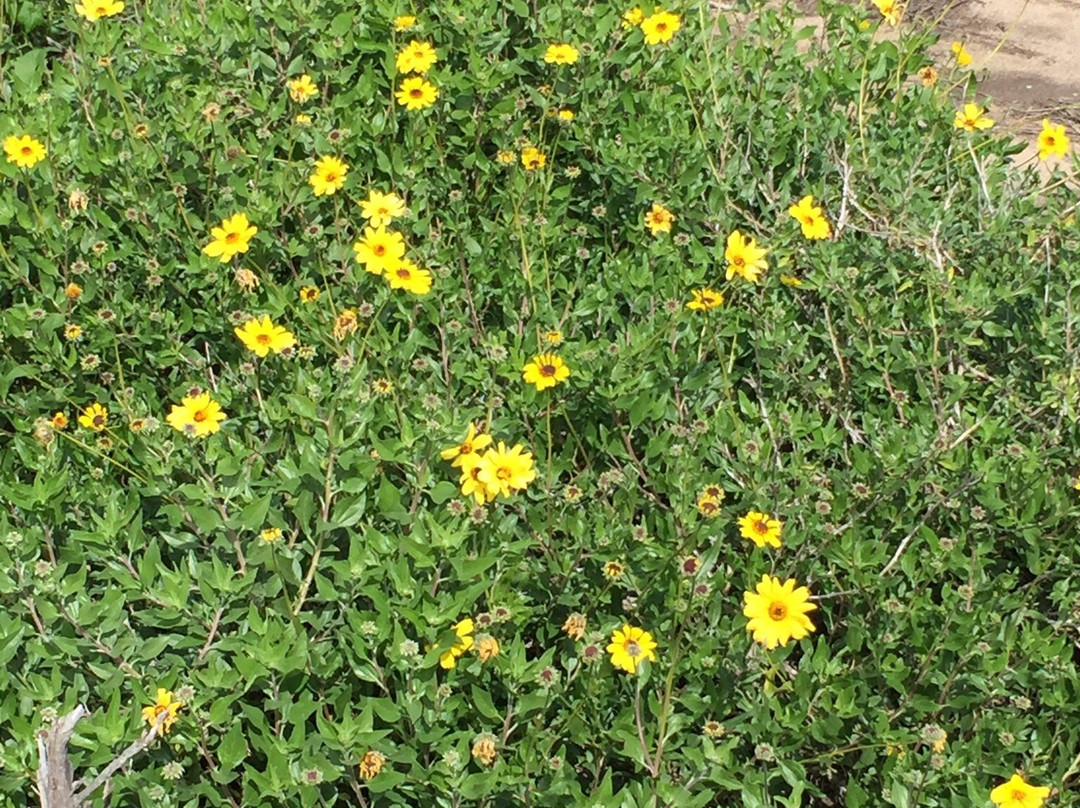Dana Point Nature Interpretive Center-德纳角必去景点