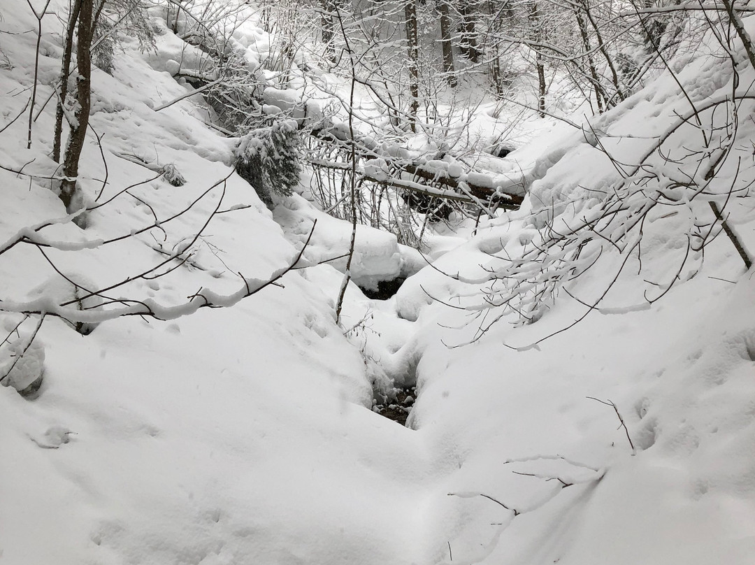 Sporthotel Zugspitze主图