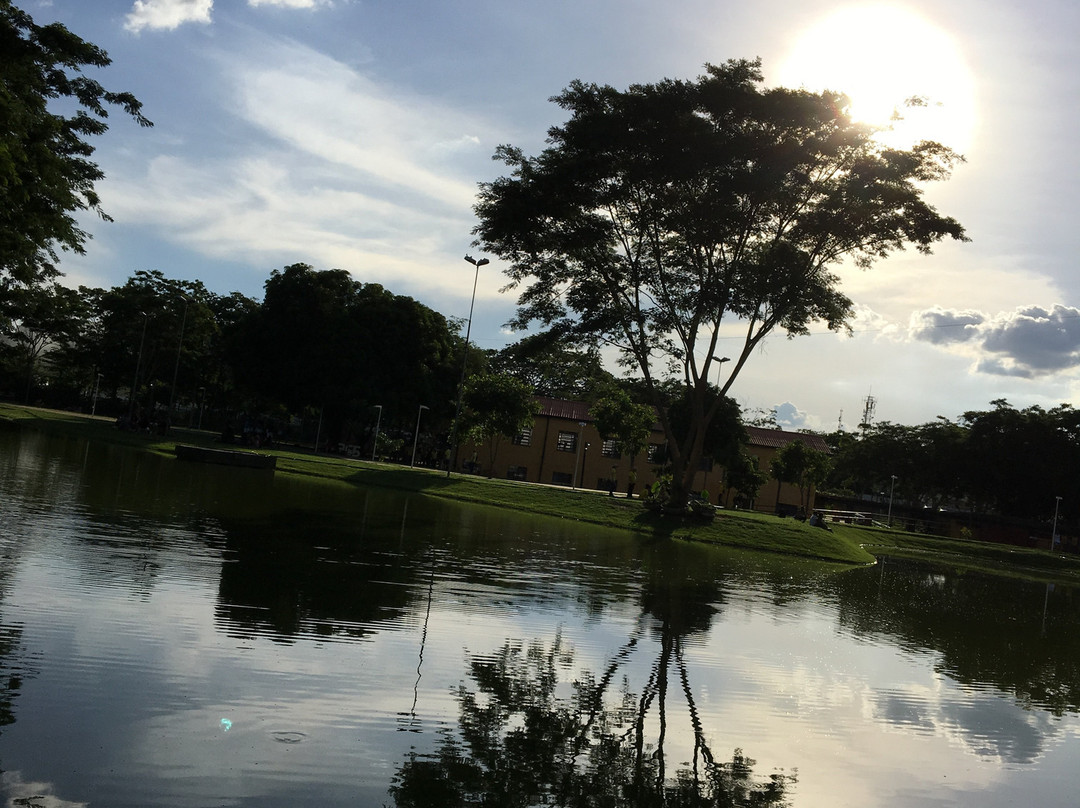 Parque Estação da Cidadania景点图片