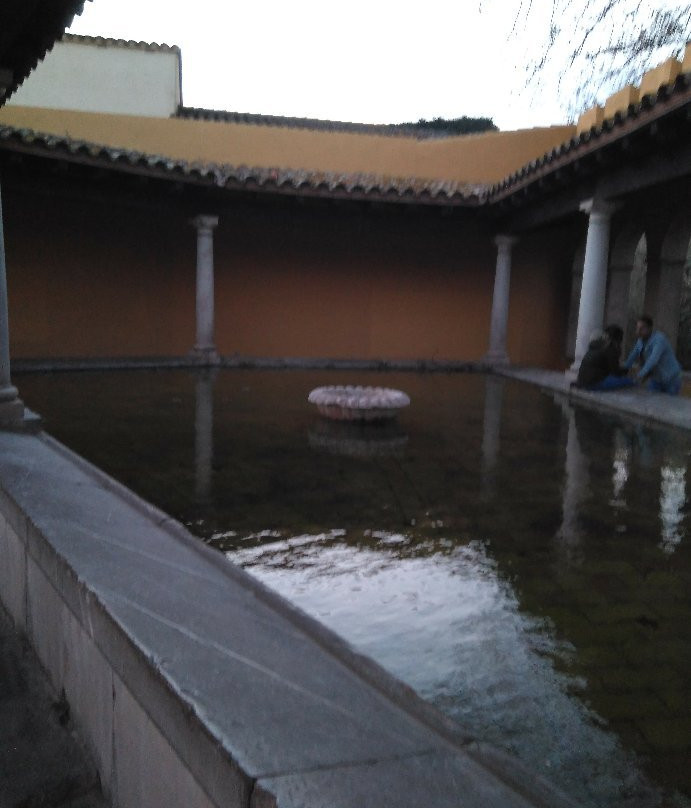 Rentador Public景点图片