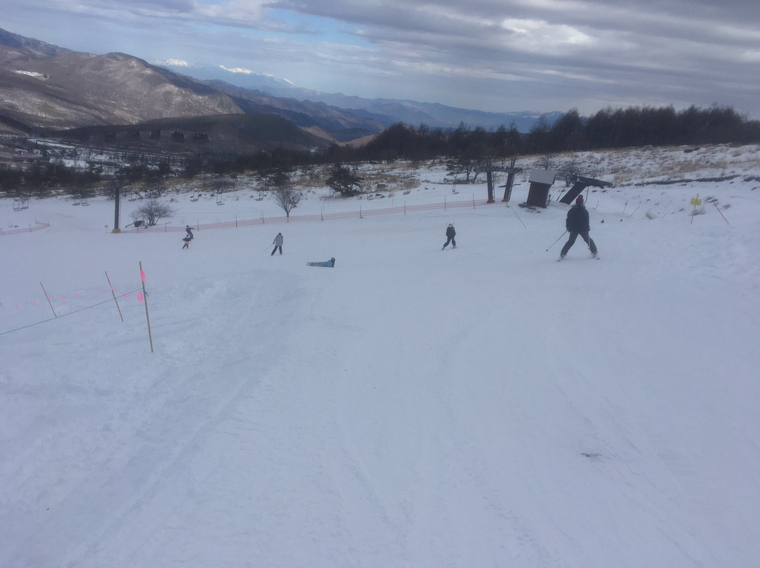 Lake Shirakaba Royal Hill Ski Resort-茅野市必去景点