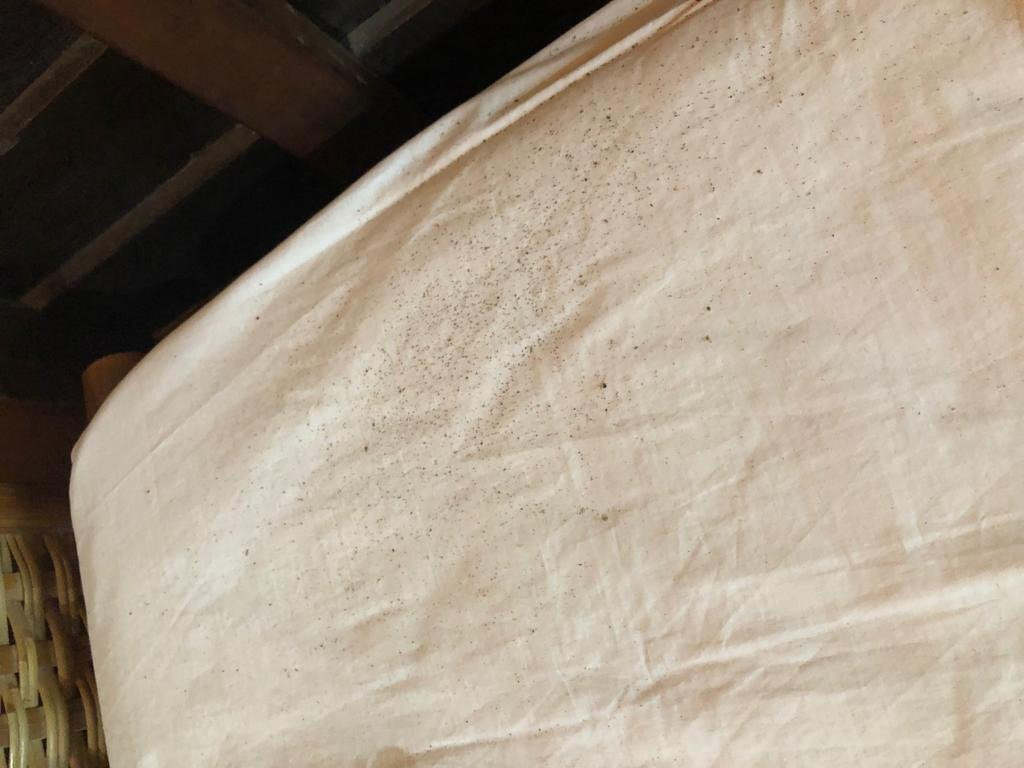 Kati旅游攻略图片