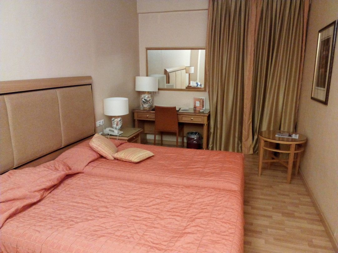 迪瓦尼拉里萨宫殿酒店主图