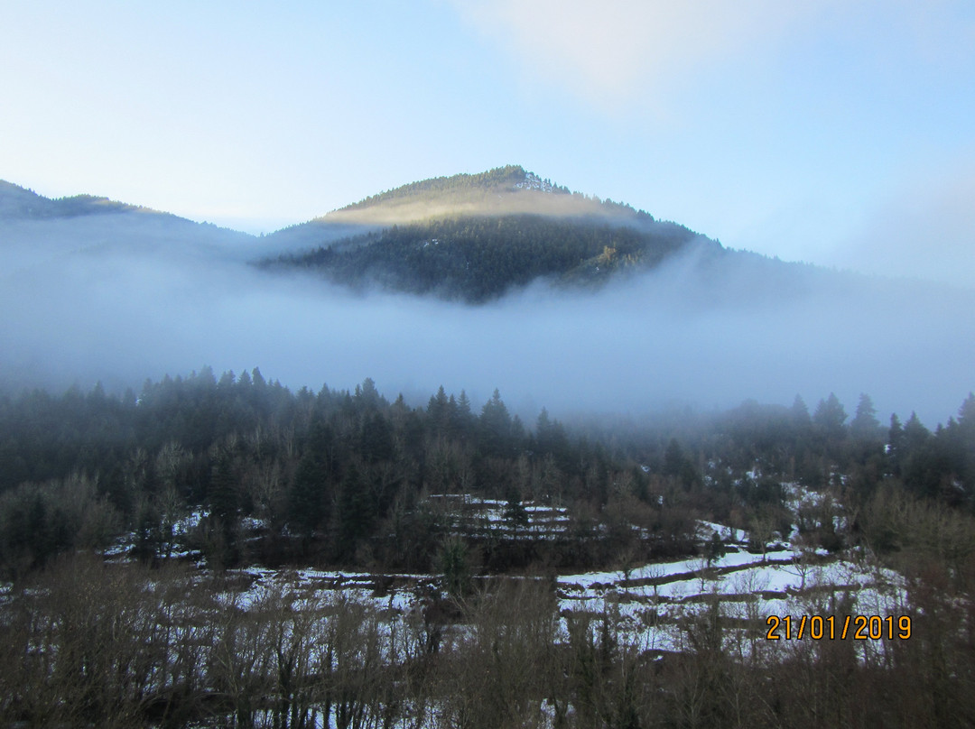 Magemeno Vouno主图