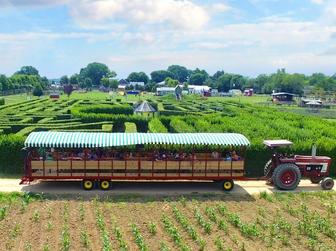 Harbes Family Farm景点图片