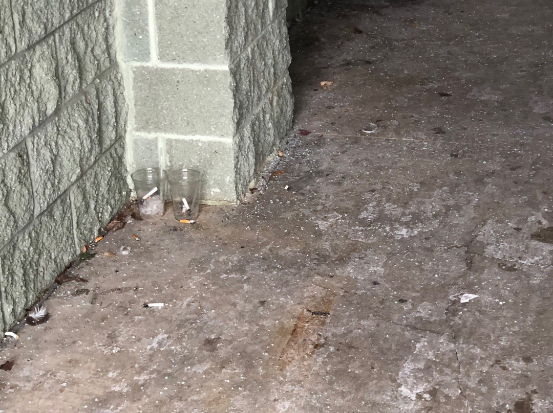 Surfari Joe's Indoor Wilderness Water Park-Watervliet必去景点