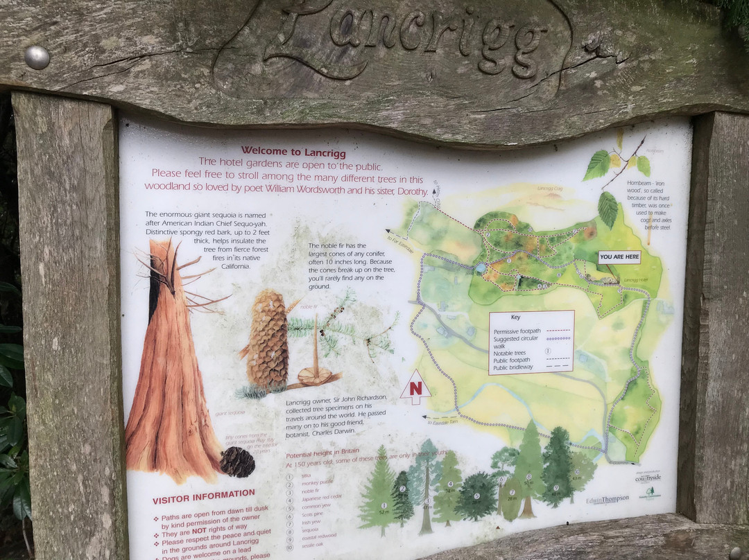 Lancrigg - Wordsworths Woodland Walks景点图片