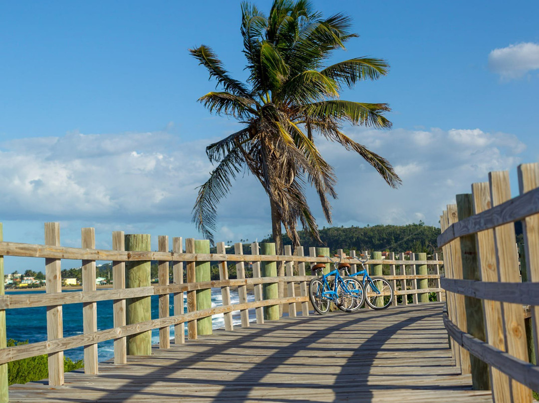 Pedalea Isabela-Isabela必去景点