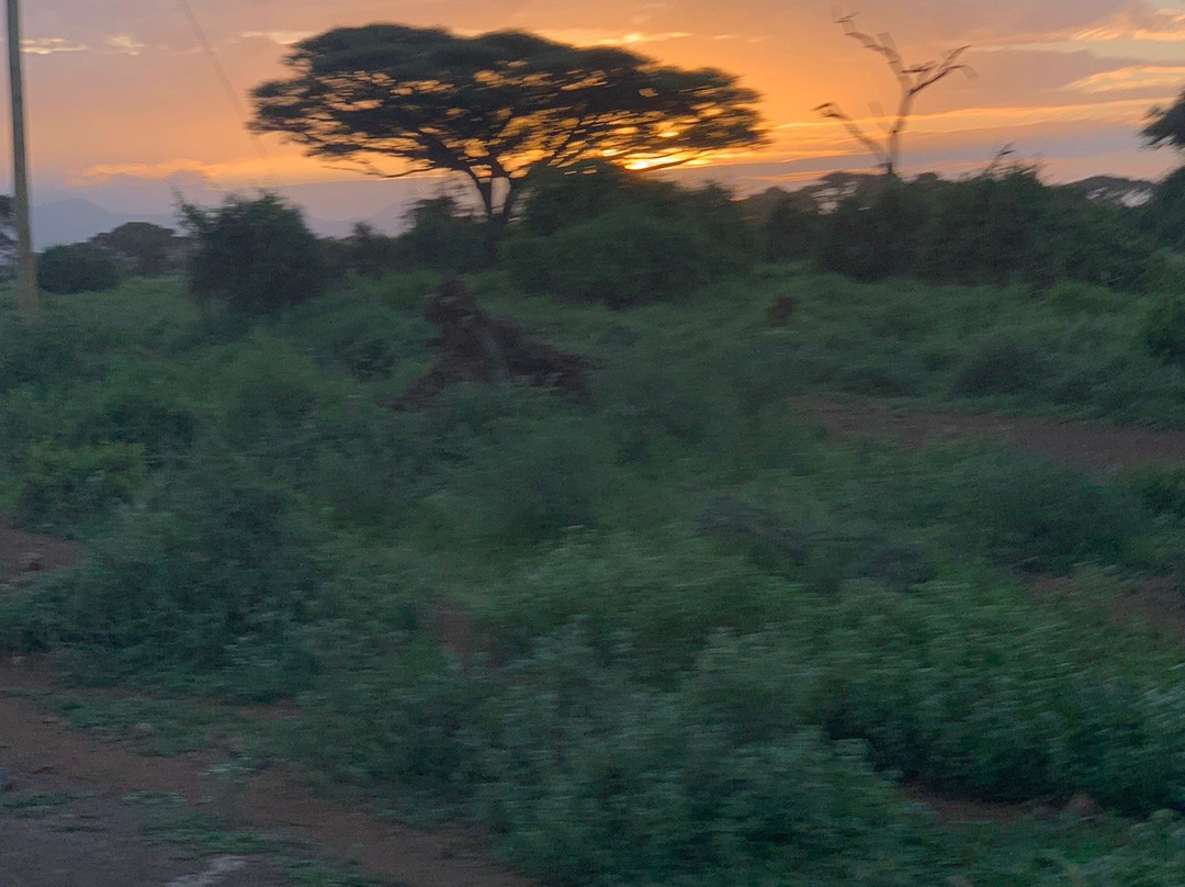 Eddie's Safari Kenya-蒙巴萨必去景点