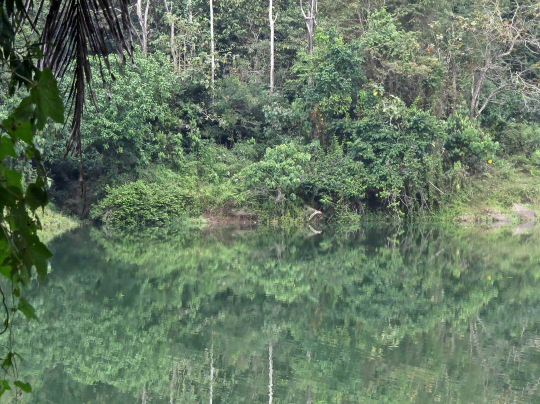 Amritara Riverside Camp主图