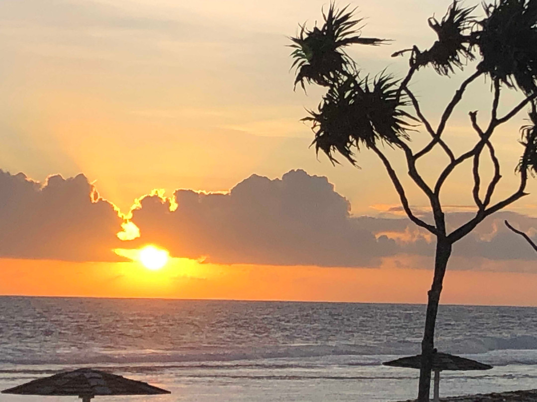 Tamanu on the Beach Resort and Spa主图